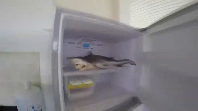 ЛУЧШИЕ ПРИКОЛЫ 2019 МАЙ | ТЕСТ НА ПСИХИКУ | РОССИЮ НЕ ПОБЕДИТЬ смотреть онлайн