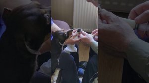 То роды принимаем, то подкидышей выкармливаем....