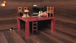 Видео для кошек про крысок развлекать питомцев 🐭🐀😂 (89)