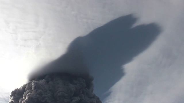 Случаи в Природе Один на Миллион смотреть онлайн