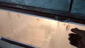 Вывели цыплят-2025