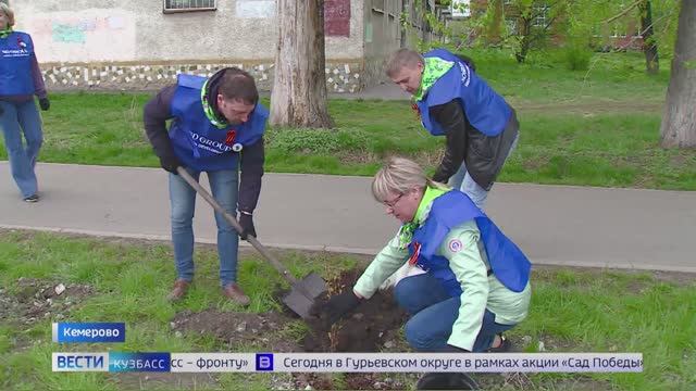 В Кузбассе высадили деревья в рамках акции  