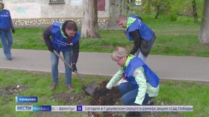 В Кузбассе высадили деревья в рамках акции  "Сад памяти"