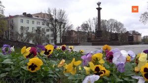 Программа «Город. Новости по-выборгски» от 7 мая 2025 года