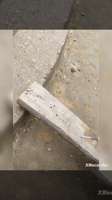 Аккумуляторная бесщеточная дрель-шуруповерт Nocord, 20В, 2 смотреть онлайн