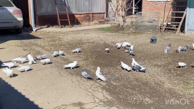 Подьем , посадка 9.03.25 смотреть онлайн