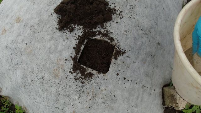 Пересаживаю клубнику из теплицы на новую грядку смотреть онлайн