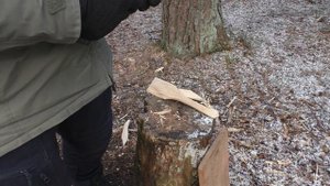 ЗЛОЙ КОКОС. Нож PATTE V2 Petrified Fish. Уличный тест