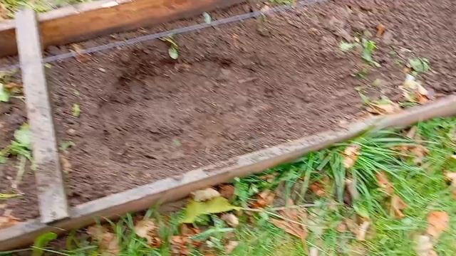 Осенняя посадка винограда. смотреть онлайн