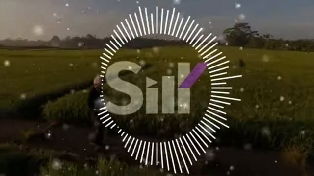 А Берёзы Тут Шумят Потому Что Дерзкие.