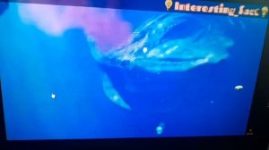 Новое видео