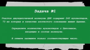 Правила Чаргаффа. Решение задач | Понятный разбор