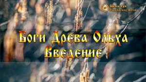 Боги Древа Ольха - Введение. [Ведзнич]
