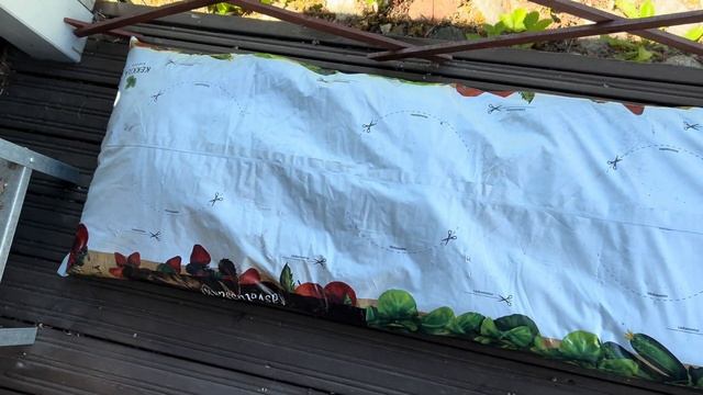 Огурцы в Мешках. Сажаю уже Второй Год.