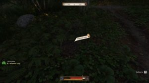 Kingdom Come deliverance 2: Где найти Вороний Глаз?