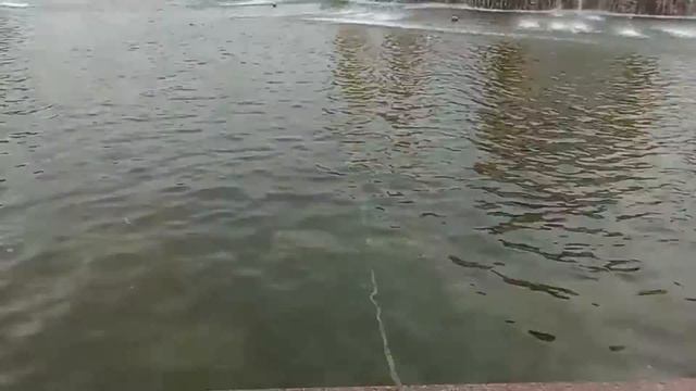 Фонтан ДРУЖБА НАРОДОВ СССР г.Москва ВДНХ 2023 смотреть онлайн