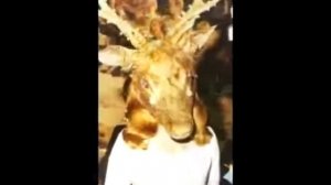 ̷Р̷о̷т̷ш̷и̷л̷ь̷д̷ы̷ ̷б̷а̷л̷ ̷с̷а̷т̷а̷н̷и̷с̷т̷о̷в̷