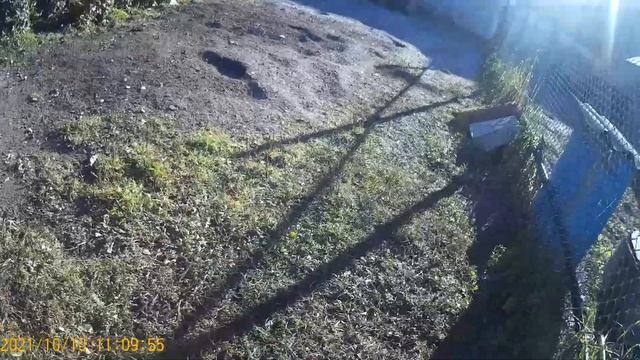 Заливка веранды продолжается или скоро зима. смотреть онлайн