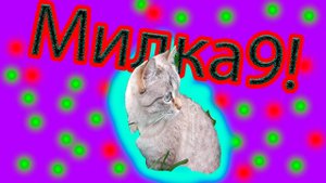 Милка в данный момент (Часть9!)
