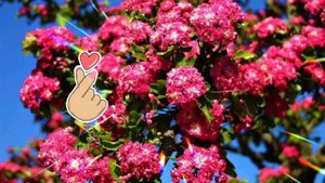 Туган Көнең белән,Кызым!Музыкальная открытка с поздра