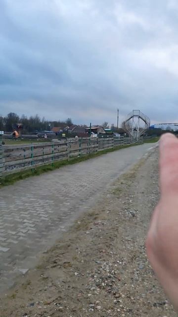 Подворье, шашлыки, ламы в Калининграде. смотреть онлайн