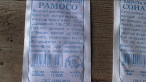 Посев капусты семенами на грядку