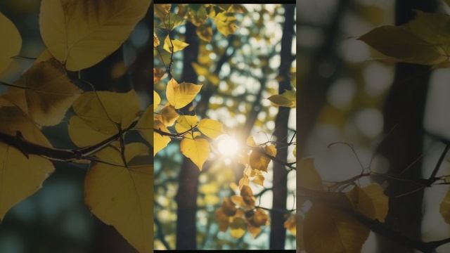 Рукой ловлю луч солнца.
