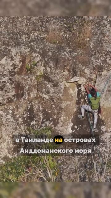Самые необычные профессии #shorts #факты #интересныефакт?