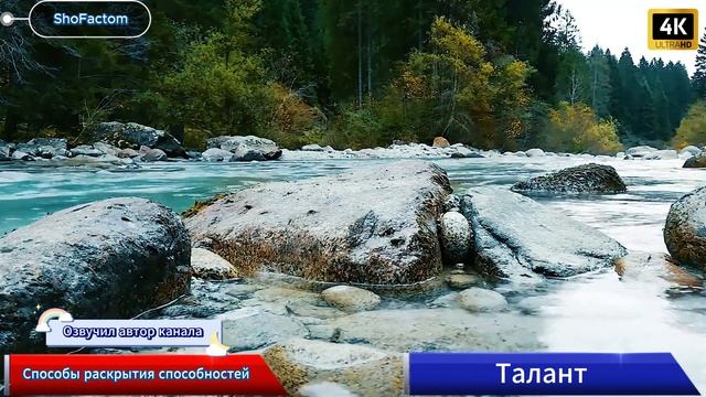 🎭🎨🎶 Как понять, есть ли у человека талант? | Способы