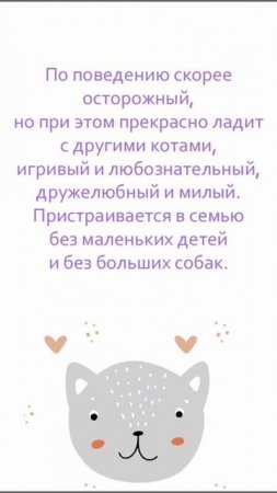 ❤️ Котёнок Томас ищет дом! ❤️