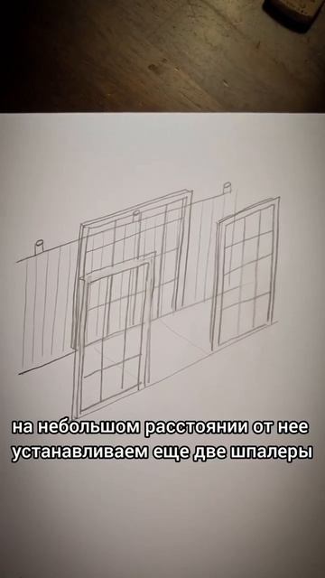 Отличный лайфхак с дверьми! #сад #дача #садоводничеств? смотреть онлайн