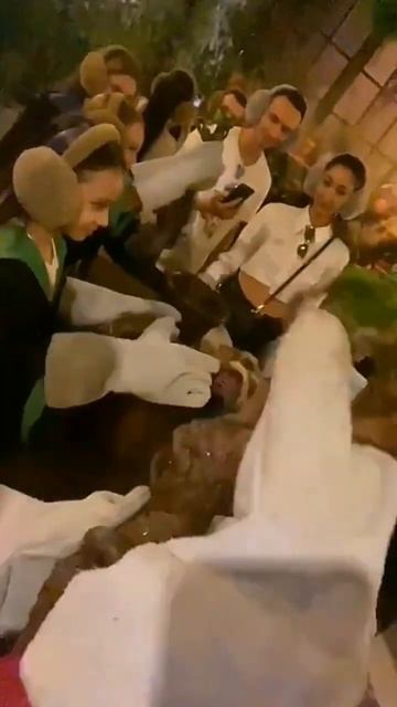 CHEGEVARA и корень Мандрагоры из Гарри Поттер смотреть онлайн