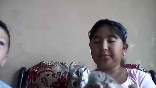 Отличная    новость    у     меня    есть     питомец!!!😀