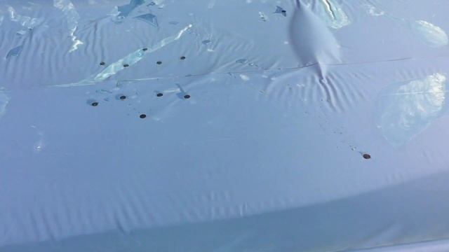 Жизнь вне орхидей 43. ИЩУ НЕВЕСТУ