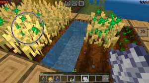 играю в minecraft