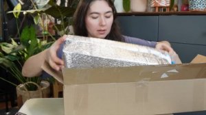 большая РАСПАКОВКА посылок с РАСТЕНИЯМИ | получила МН?