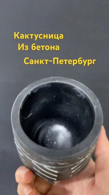 #кактусы #горшечныерастения #магазинрастений #шоурумс