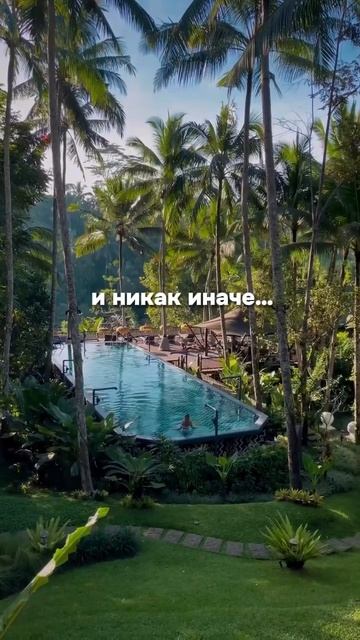 Считаю, утро должно быть таким :)) #travel #бали #мальдивы2024