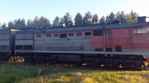 Поезд 380Г(Первомайск-Москва) проходит мимо ж.д. переезд