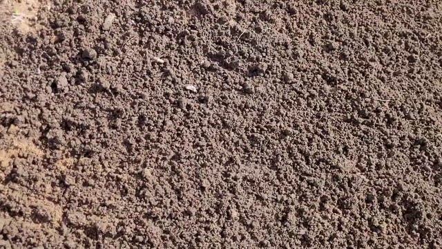 ГАЗОН своими руками. МЯТЛИК -100%. Наш опыт будет вам пол? смотреть онлайн