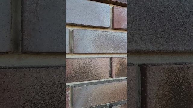 🏡✨ **Кирпич Roben: идеальный выбор для вашего дома в Нов?
