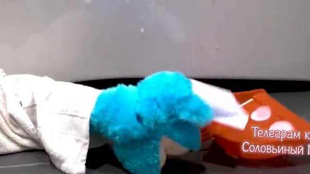 Есть на земле большая страна