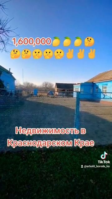 СТ КАНЕВСКАЯ КАНЕВСКОЙ РАЙОН КРАСНОДАРСКИЙ КРАЙ