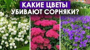 🌻 5 СПАСИТЕЛЬНЫХ ЦВЕТОВ ОТ СОРНЯКОВ – КРАСОТА И ПОЛЬЗА В ОДНОМ!