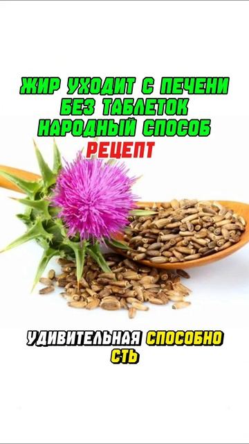 Жир уходит с печени без таблеток — народный способ