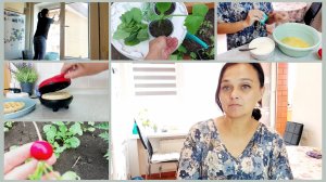 243 ЖИЗНЬ НА ЮГЕ 🌼 ПРО ОГОРОД. КУПИЛА РАССАДУ 🍅🍆 ИЗБАВЛЯЕМСЯ ОТ ТРАВЫ  🍃 ГОТОВКА  , УБОРКА.