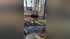 Немного развлечений из жизни пинина
