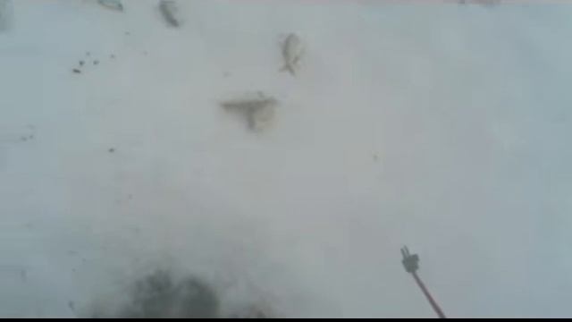 Эльдорадо -2 смотреть онлайн