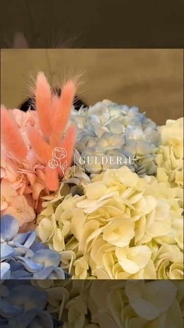 Букет из 5 гортензий смотреть онлайн