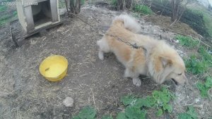 Наш Алтай с Алтая